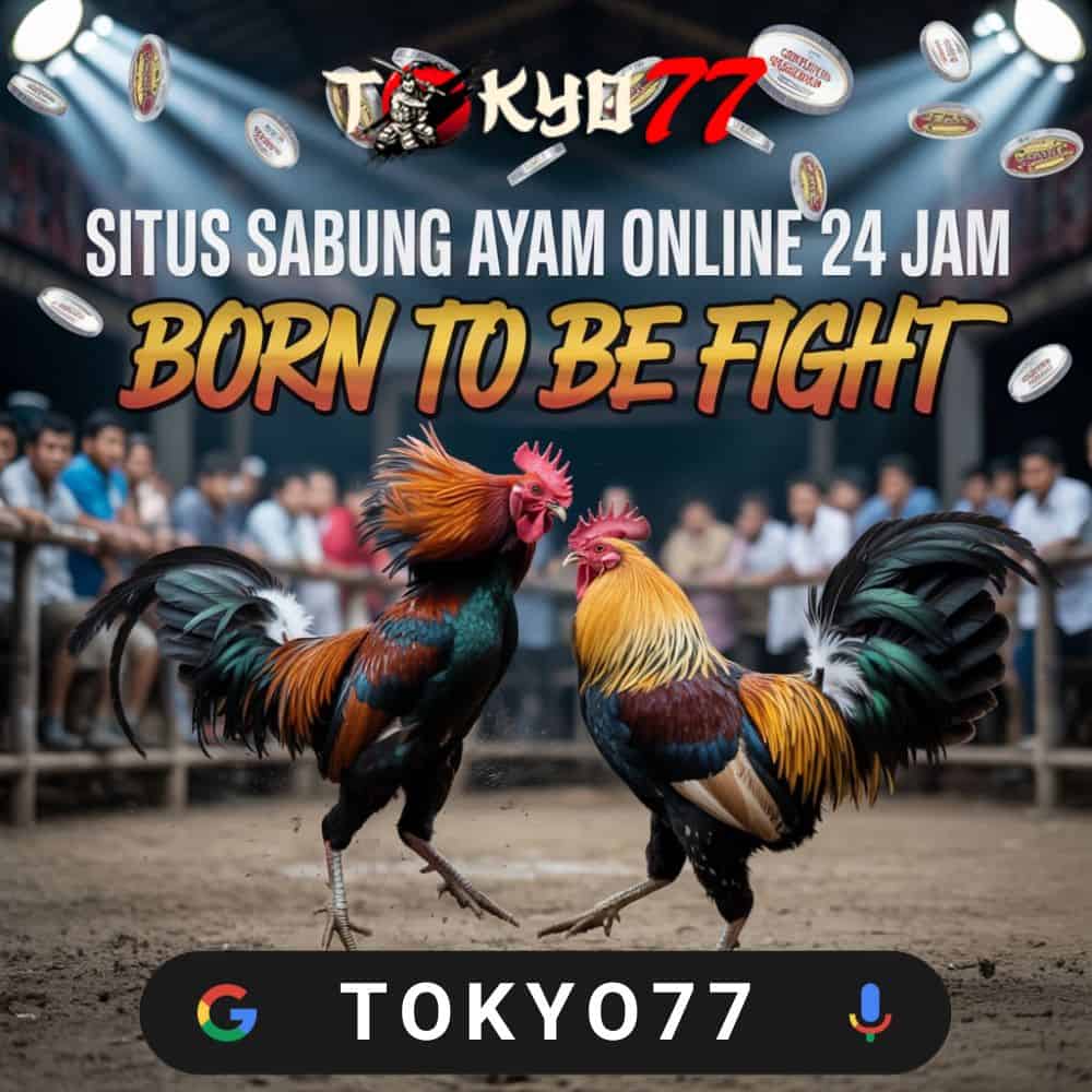 Explore SV388 — The Arena Where Every Match Counts